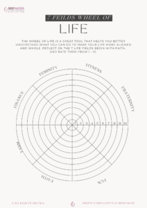The Life Wheel