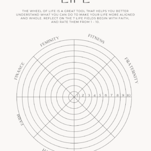 The Life Wheel